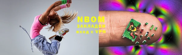 прущие грибы Балабаново