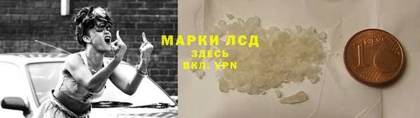 стаф Баксан