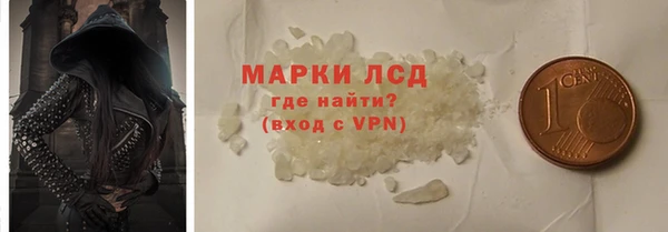 прущие грибы Балабаново