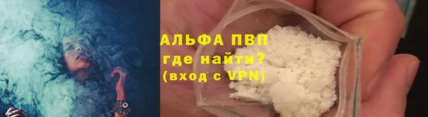 стаф Баксан