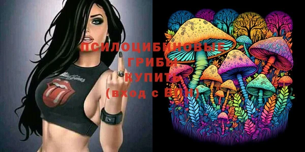 прущие грибы Балабаново