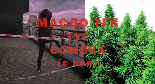 прущие грибы Балабаново