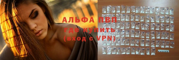 прущие грибы Балабаново