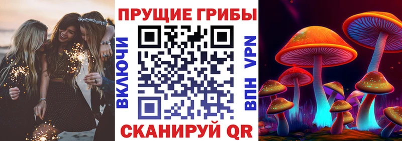 купить наркоту  Воронеж  kraken зеркало  Галлюциногенные грибы прущие грибы 