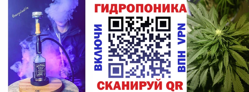 купить наркотик  Воронеж  Шишки марихуана планчик 